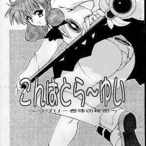Combattler Yui Lovely Gattai No Himitsu