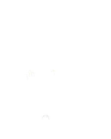 웹툰 이미지 208