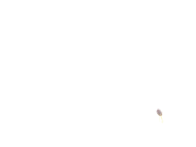 웹툰 이미지 102