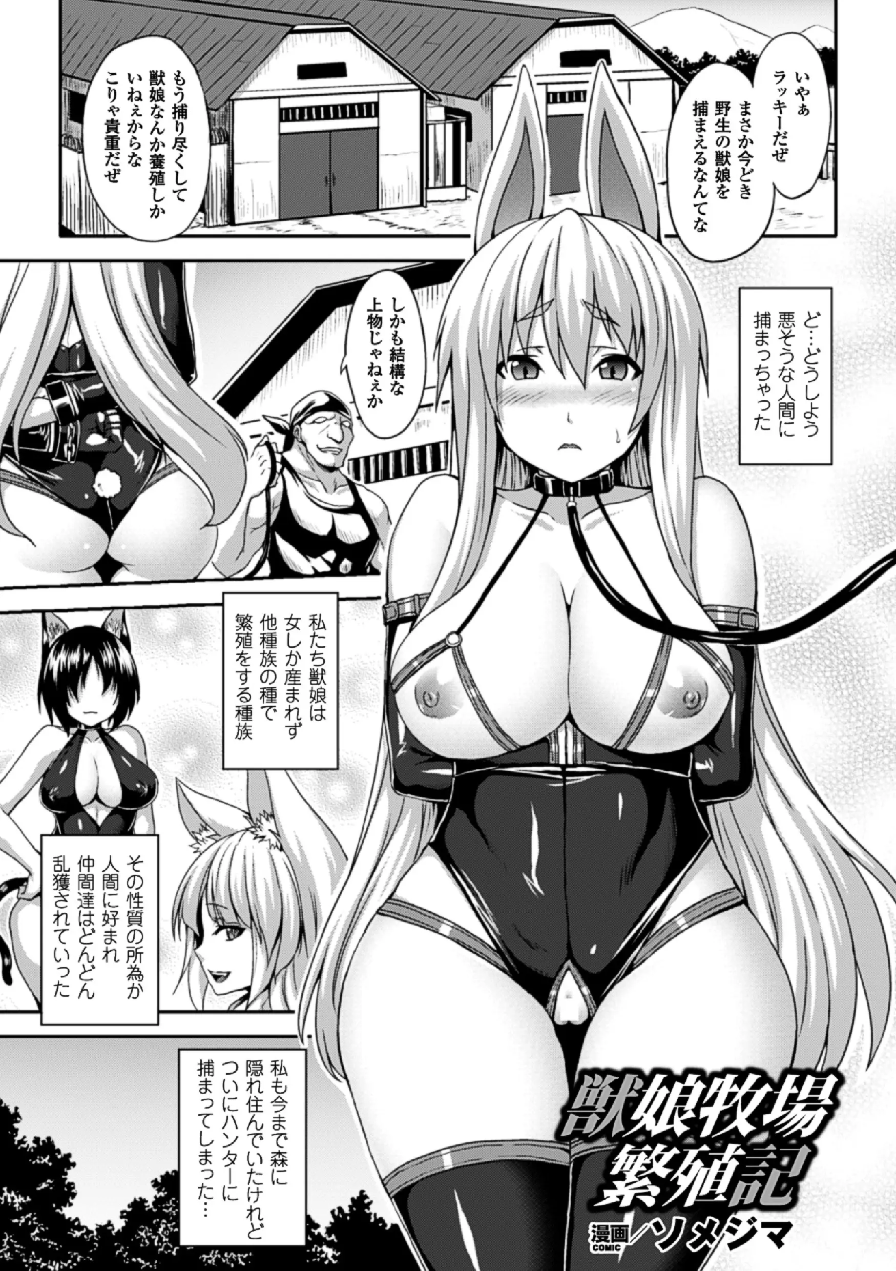웹툰 이미지 22