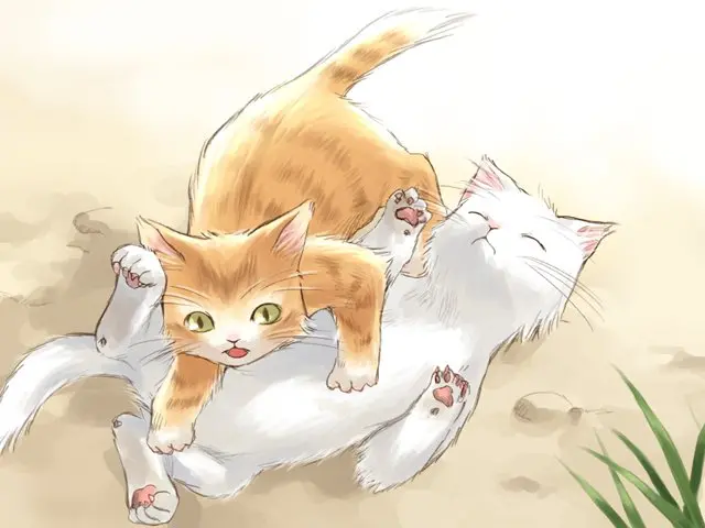 웹툰 이미지 79