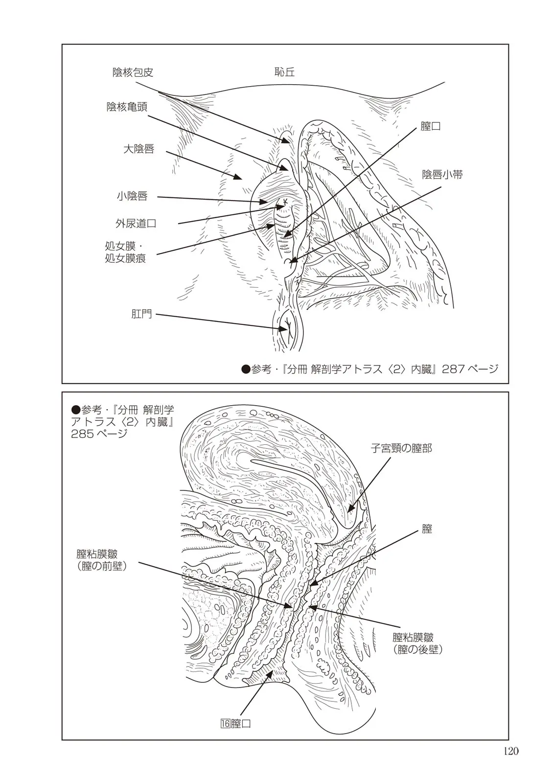 웹툰 이미지 119