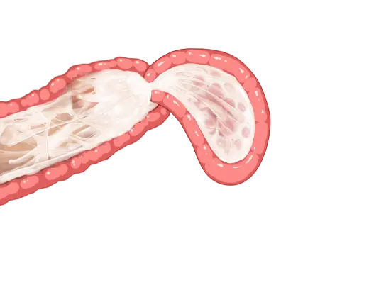 웹툰 이미지 57