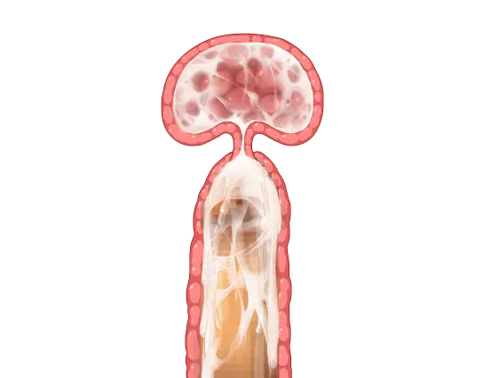 웹툰 이미지 70