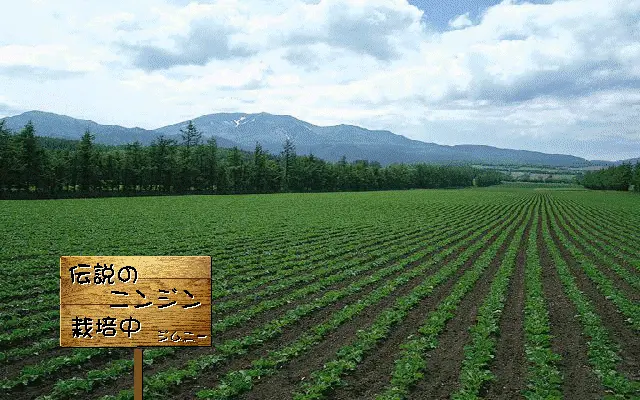 웹툰 이미지 298