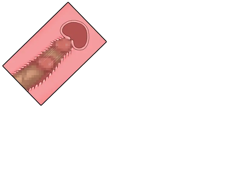 웹툰 이미지 51