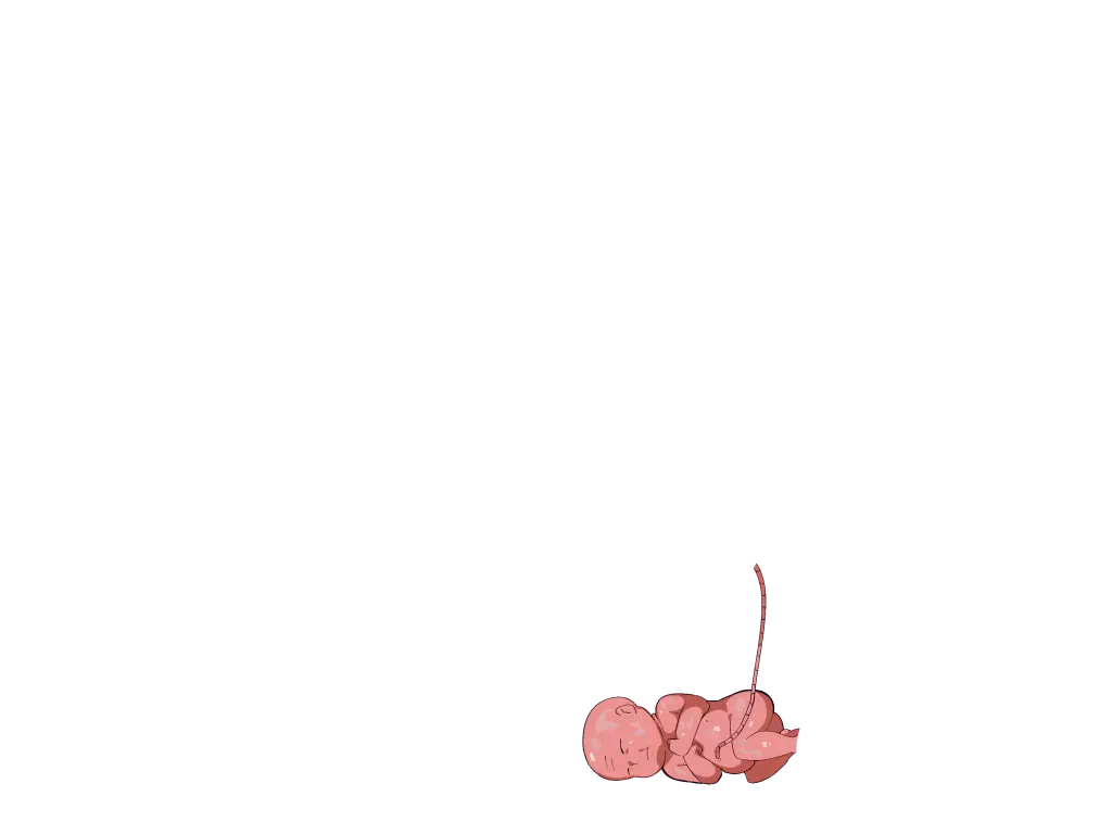 웹툰 이미지 80
