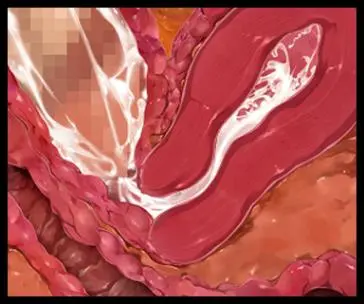 웹툰 이미지 295