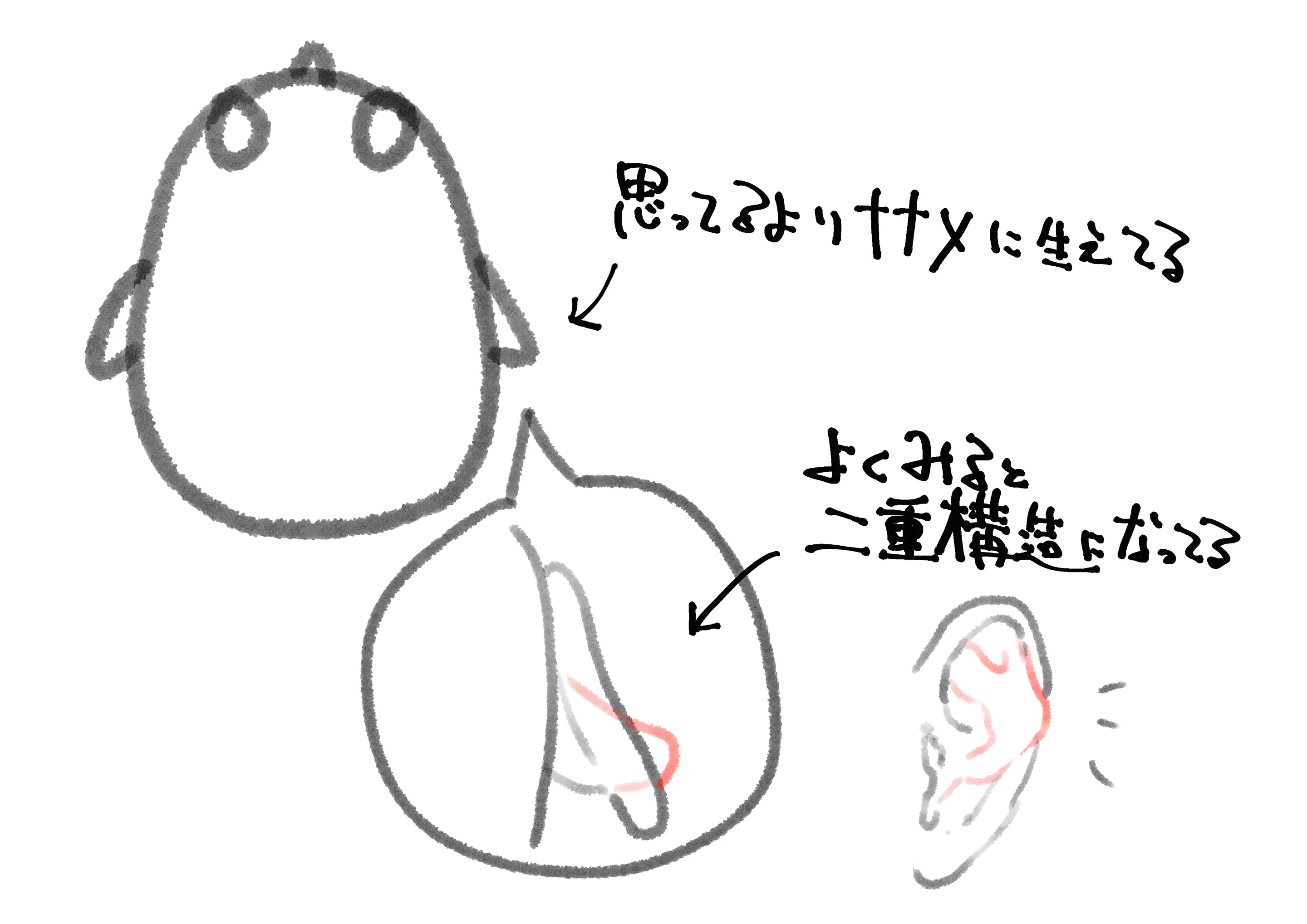 웹툰 이미지 246