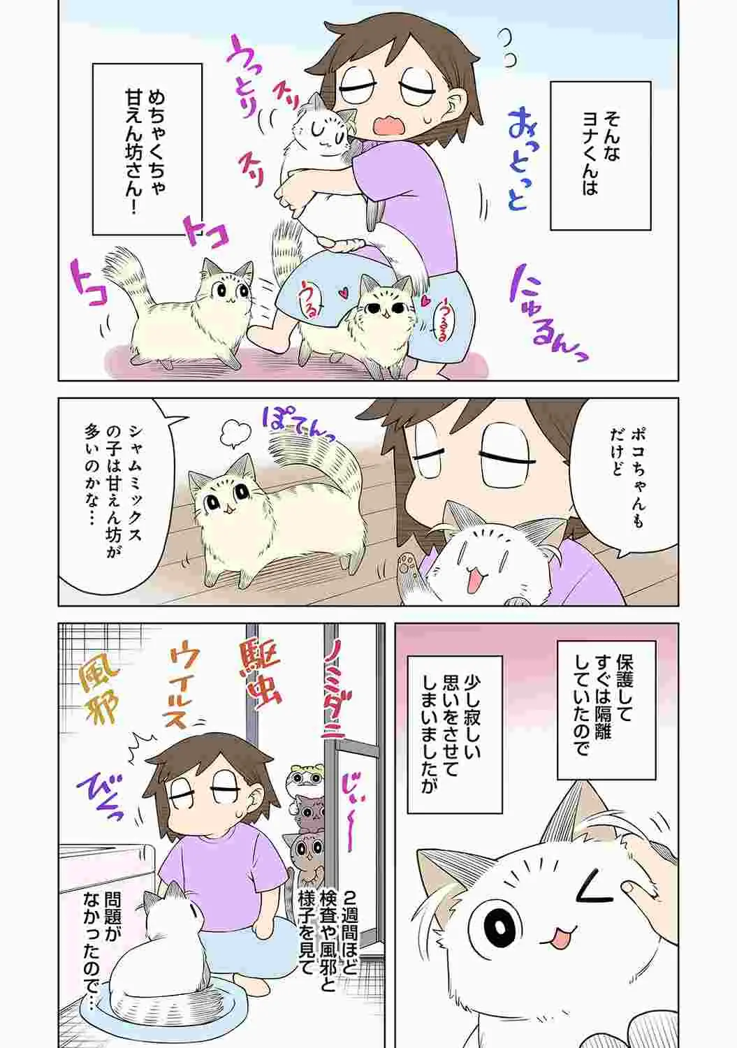 웹툰 이미지 224
