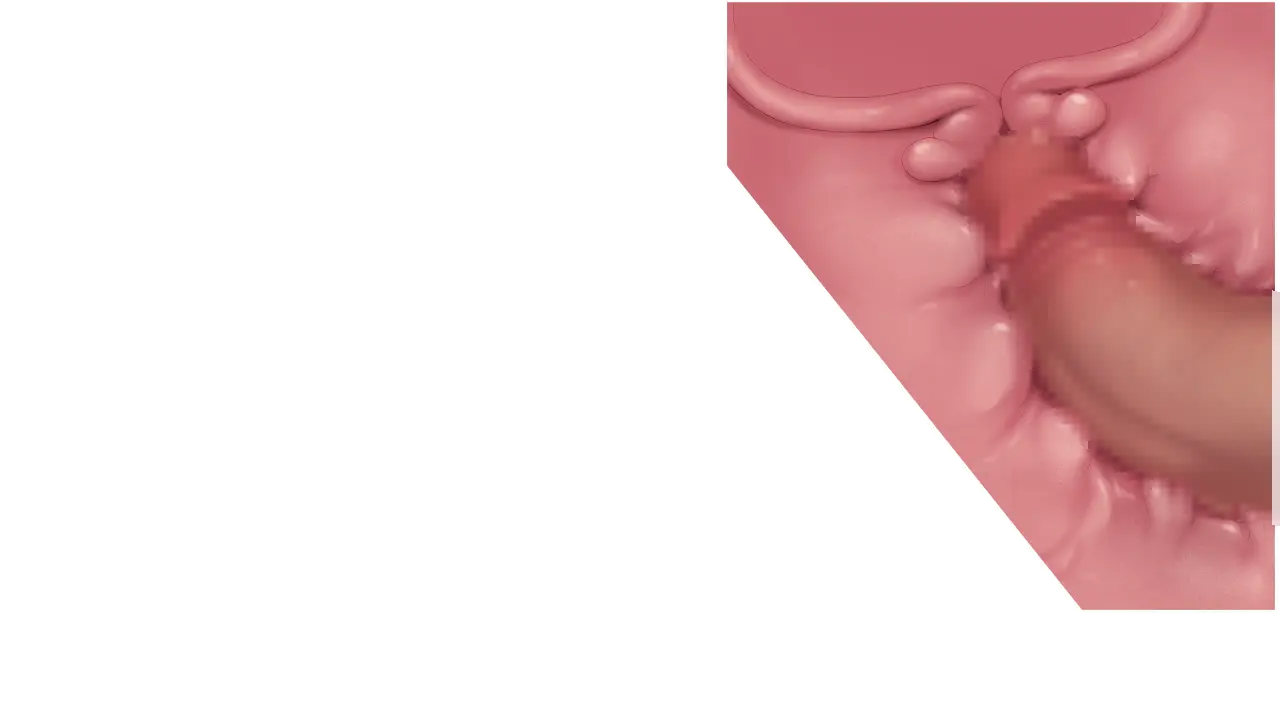 웹툰 이미지 182