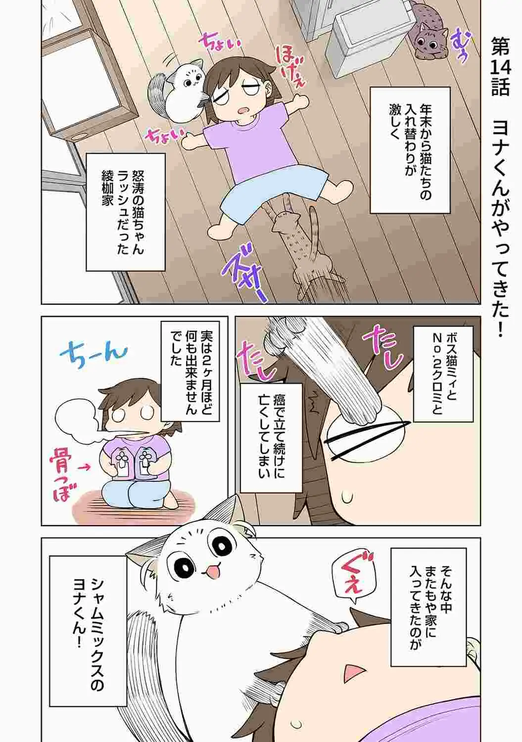 웹툰 이미지 222
