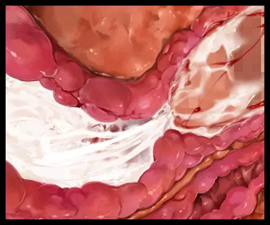 웹툰 이미지 182