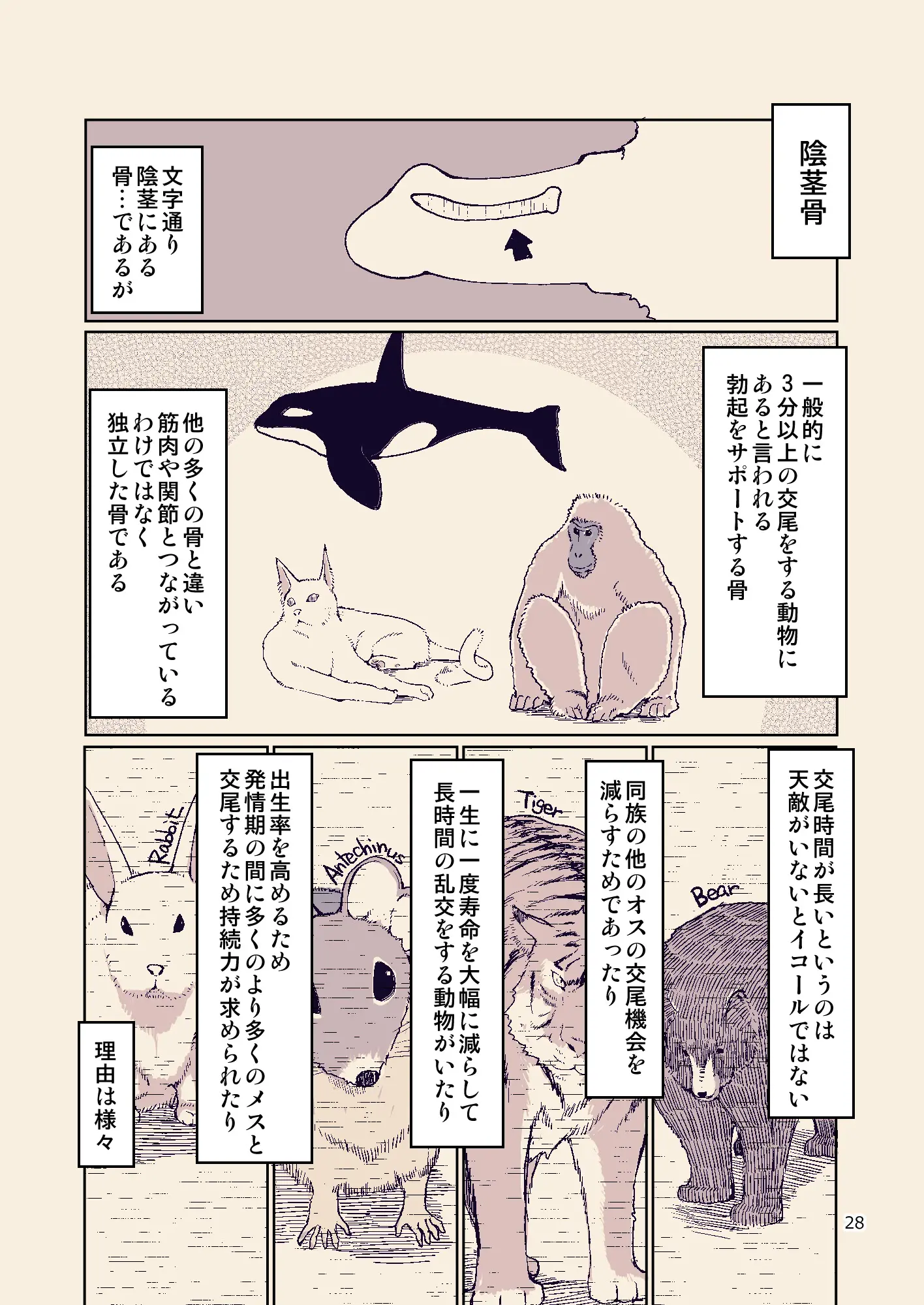 웹툰 이미지 26
