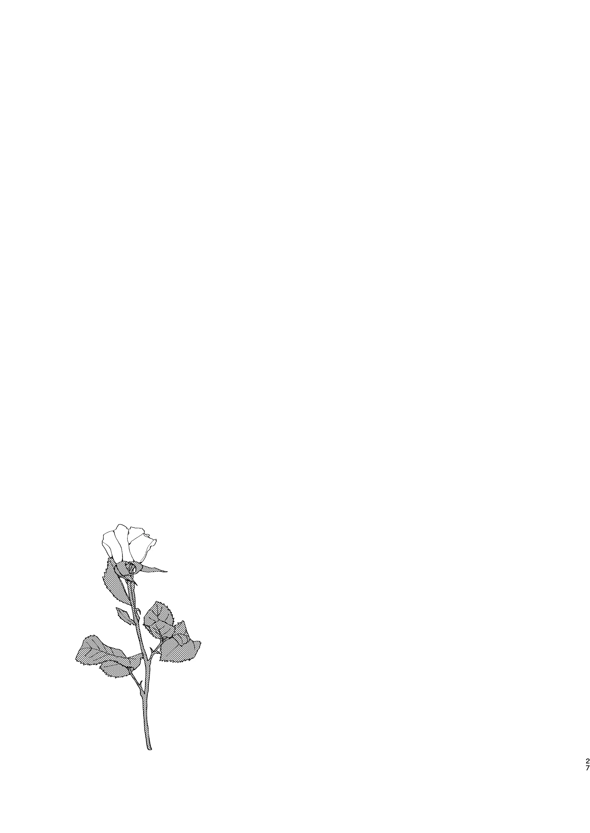 웹툰 이미지 25
