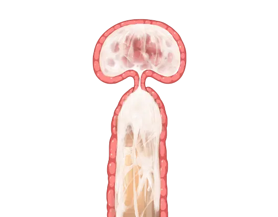 웹툰 이미지 73