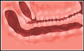 웹툰 이미지 18
