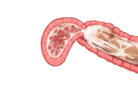 웹툰 이미지 36