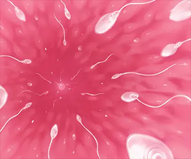 웹툰 이미지 98