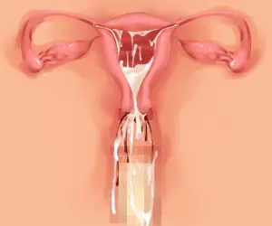 웹툰 이미지 167