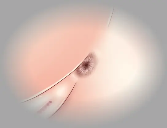 웹툰 이미지 21