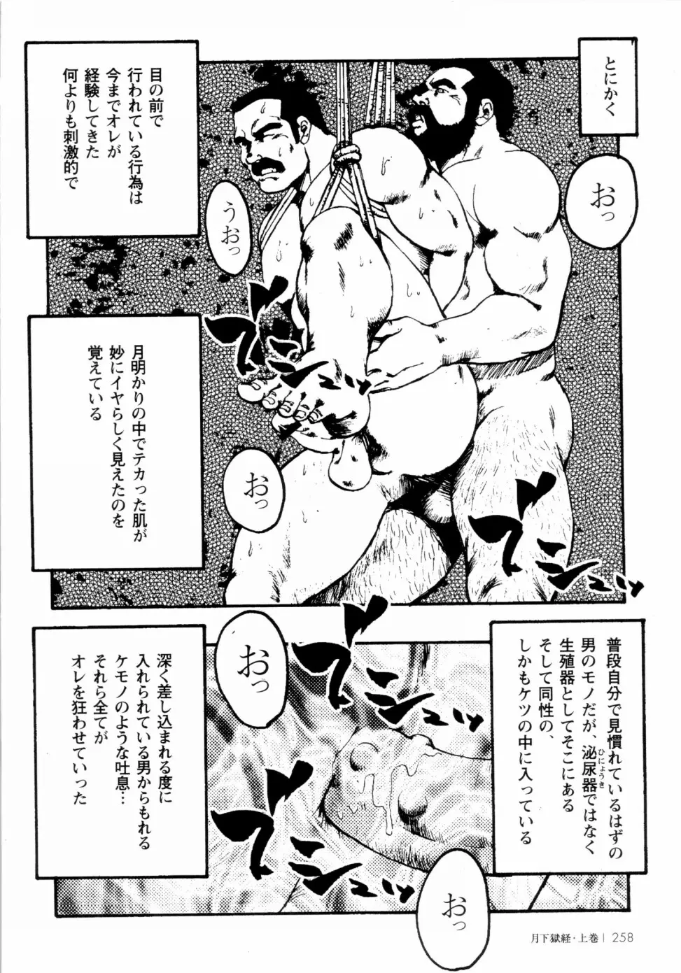 웹툰 이미지 250
