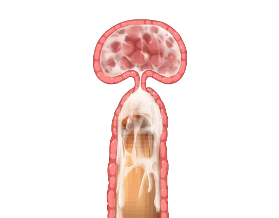 웹툰 이미지 67
