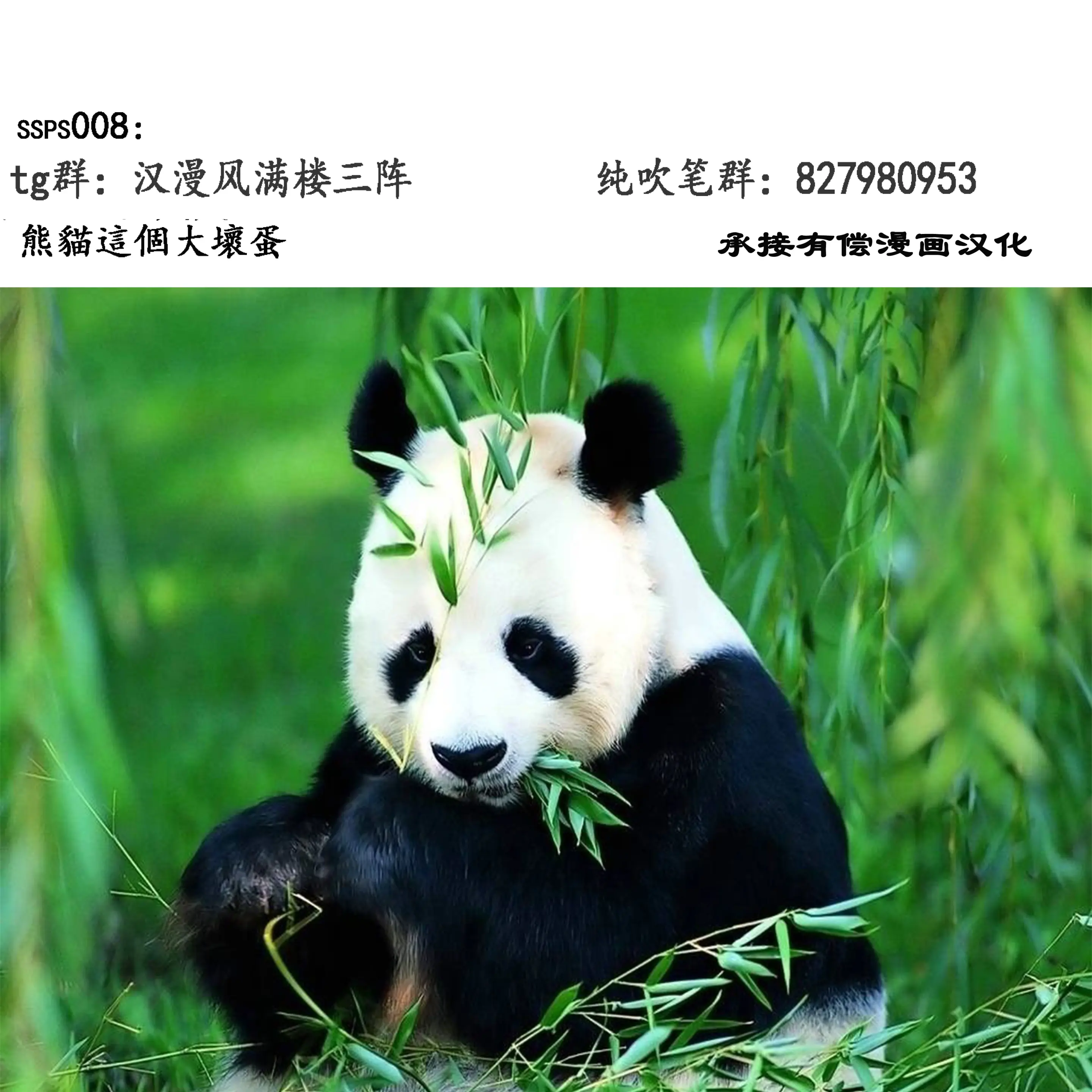 웹툰 이미지 39