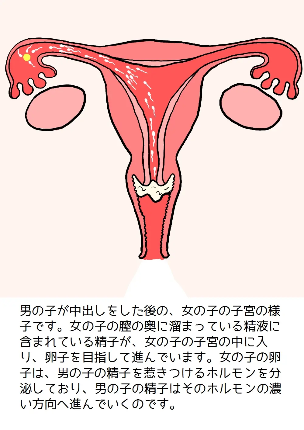 웹툰 이미지 58