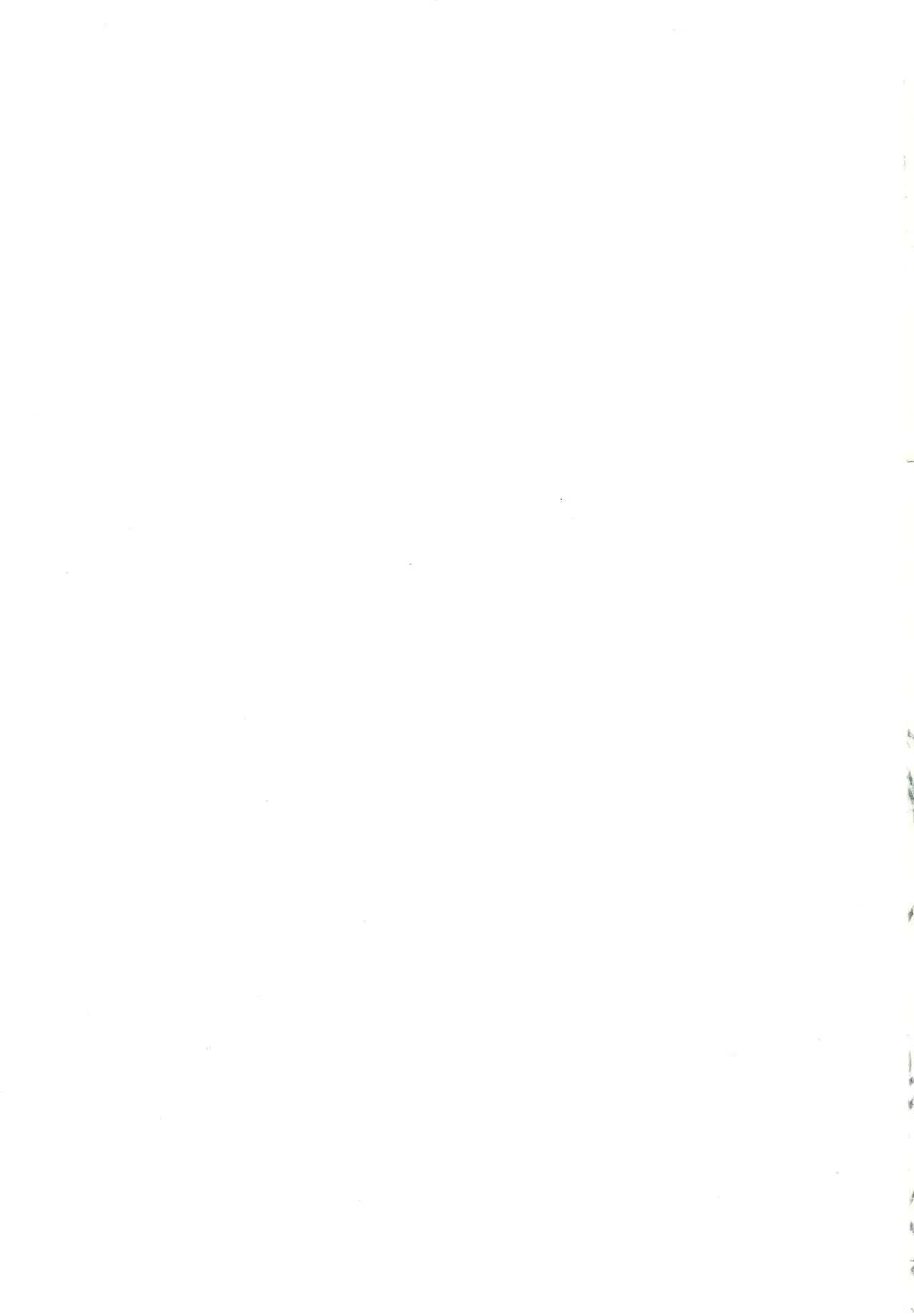 웹툰 이미지 31