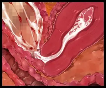 웹툰 이미지 341