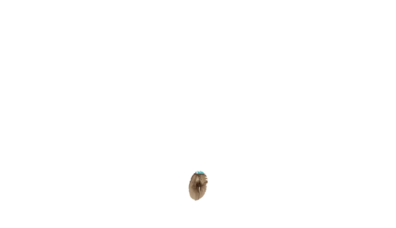 웹툰 이미지 147