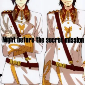 Night before the secret mission