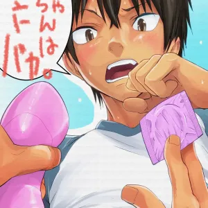 Nii-chan wa Honto Baka.