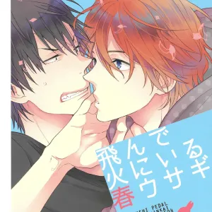 Tonde Hi Ni Iru Haru Usagi