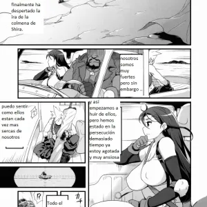 TITS BULLETS LIMITATION