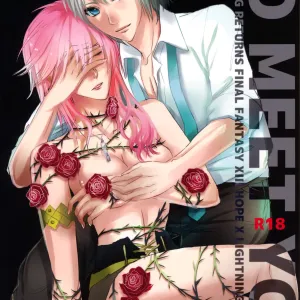 TO MEET YOU