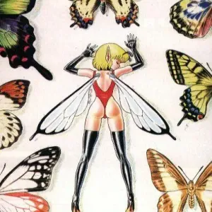Bondage Fairies 2