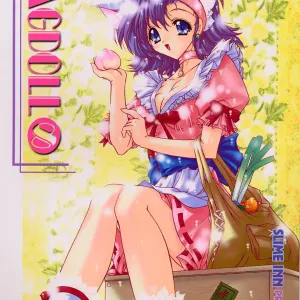 Ragdoll 8