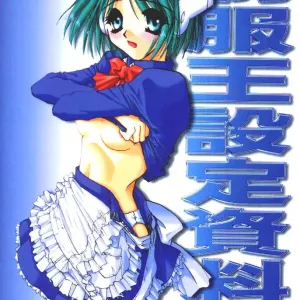 制服王 設定資料集