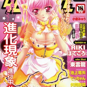 COMIC Himedorobow 2008-01