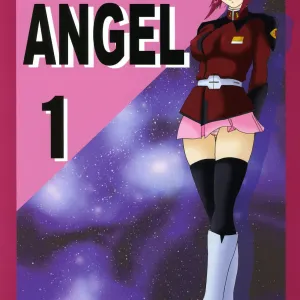 SEED DESTINY ANGEL 1