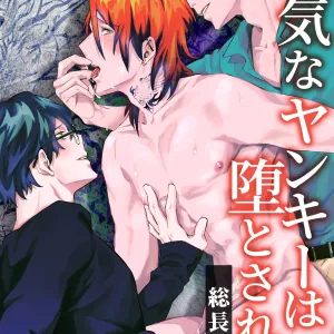 Tsuyoki na Yankee wa Otosareru Souchou Rinkan | 霸气不良的堕落-总长轮奸