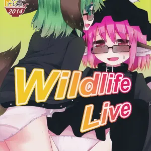 Wildlife Live