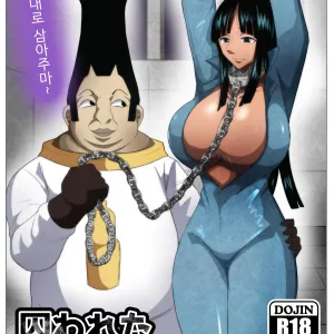 Torawareta Bakunyuu Kaizoku no Matsuro