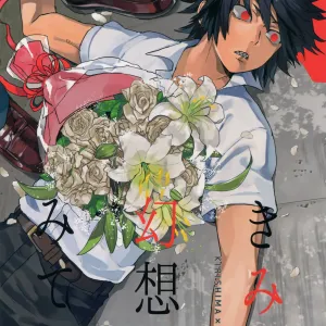 Kimi no Gensou o Miteru