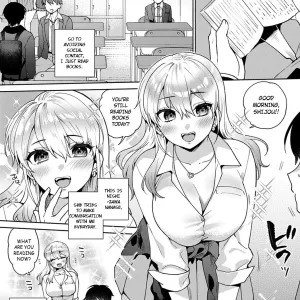 Oshikake Dolce