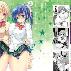 Gakkou de Seishun! Soushuuhen 2