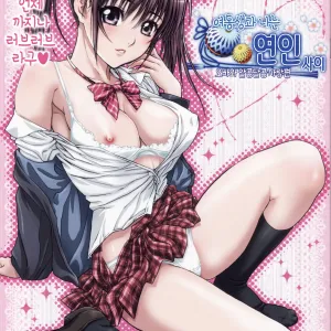 Imouto wa Boku no Koibito ~Onii-chan to Icha-Love Hen~ │ 여동생과 나는 연인사이