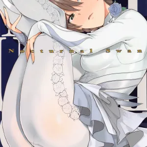 Nocturnal Swan
